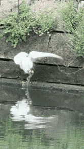 果然，我猜到了结局。