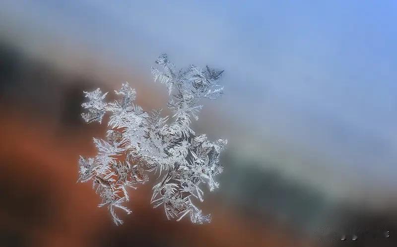 别不信，老天真的对每个人都是公平的。我同事A，他经常三病两痛的，退休金也不高