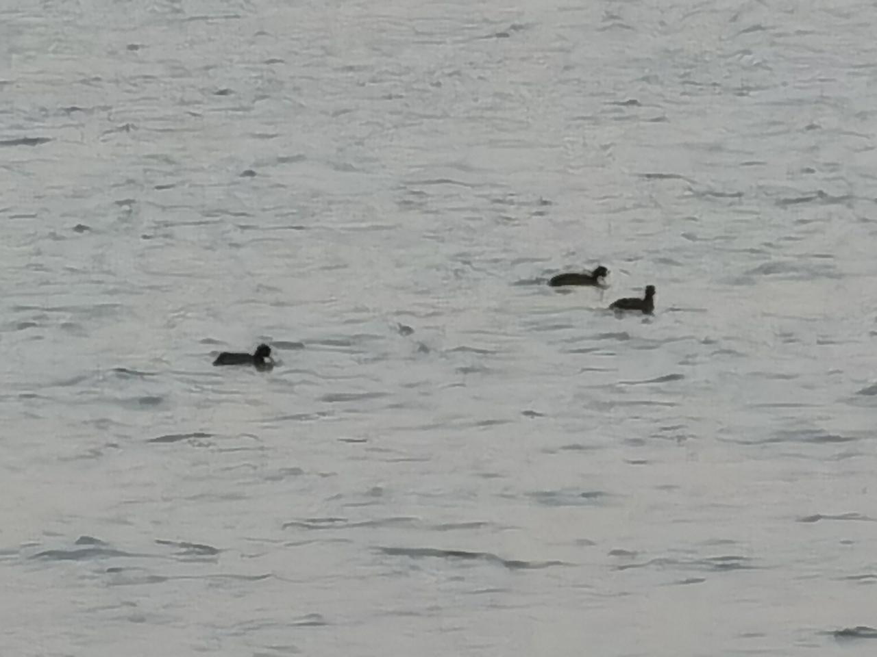 科技创新是市场的主线科技创新是这个时代的最强音。无论是人工智能、人形机器人、商