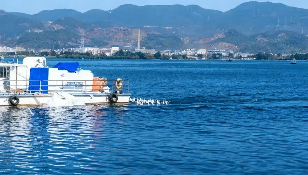 刷到一条短视频，博主板着脸提醒：别把同事闺蜜往家里领。视频里他编了三个小故事，