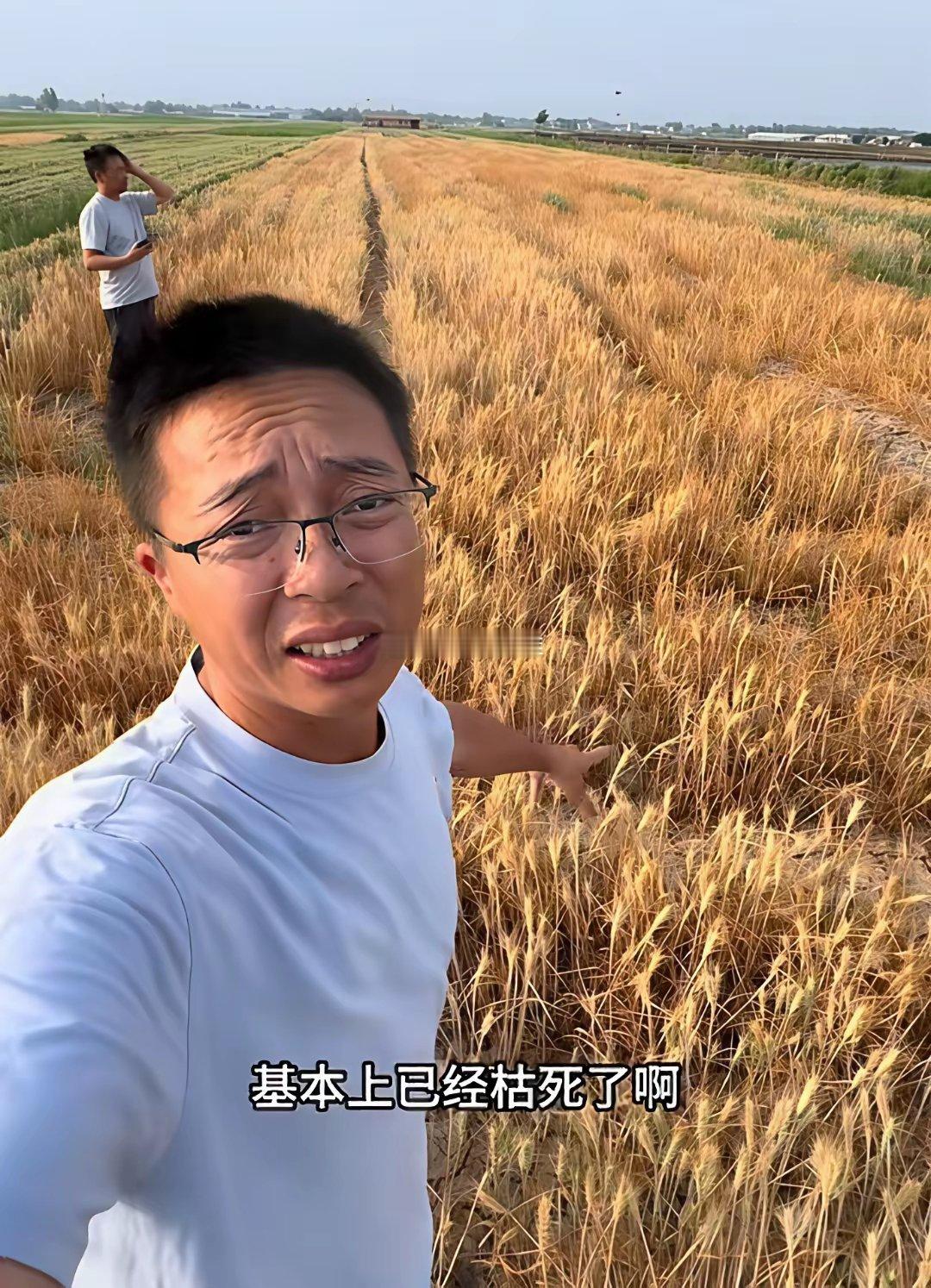 菏泽巨野今天上了热搜，看卫星云图面积很大一片，现在这个时间应该行动了吧？