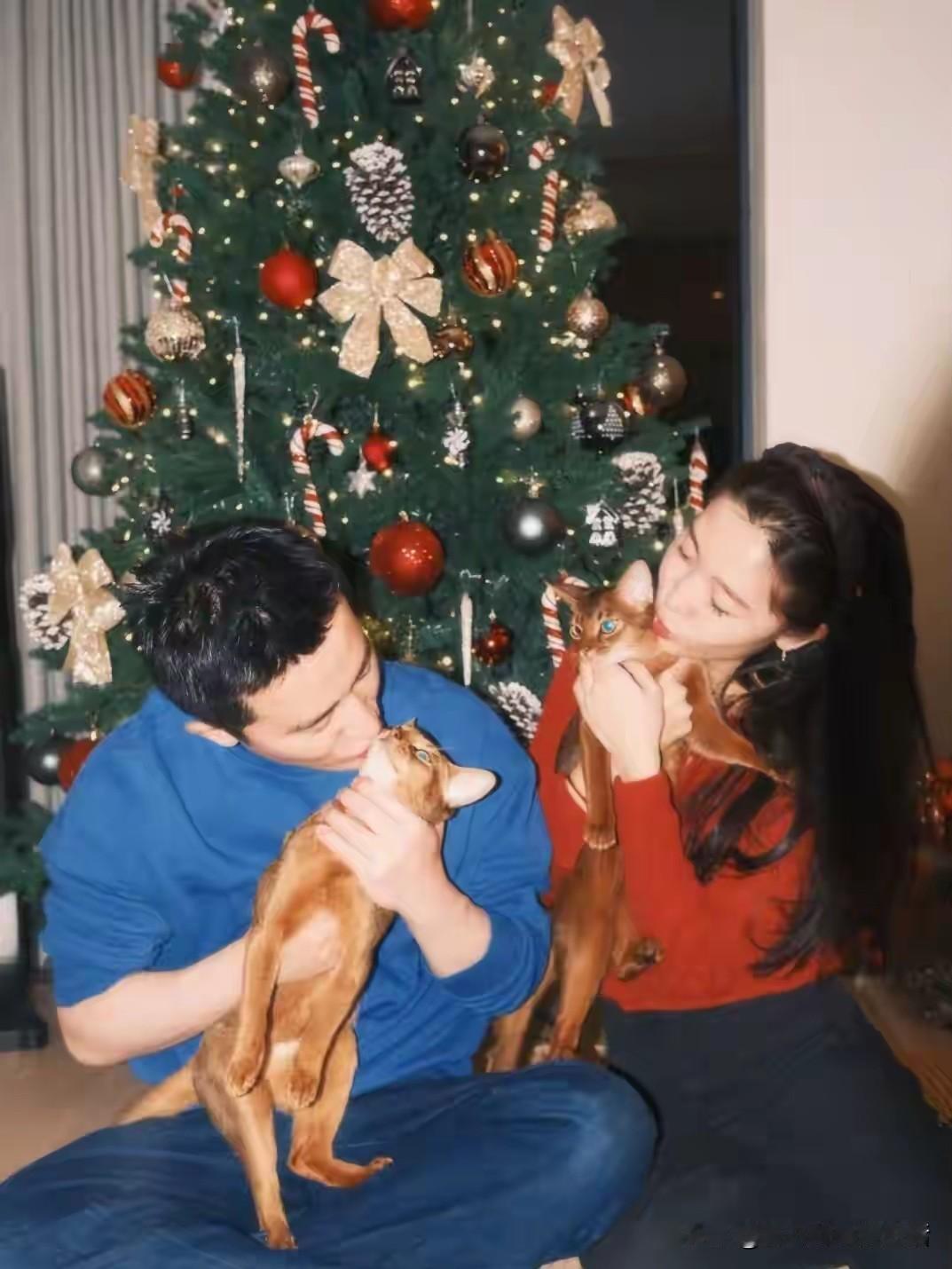 明星的漂亮嫂子开始晒幸福了。黄轩的女朋友，分享了几个人的圣诞晚宴，同时庆祝黄轩