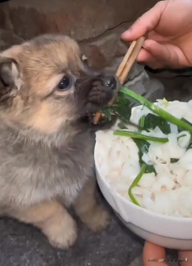 全网都泪目了。小王是工地上的一个工人，这一天他去丢垃圾的时候，在垃圾桶里发现了一