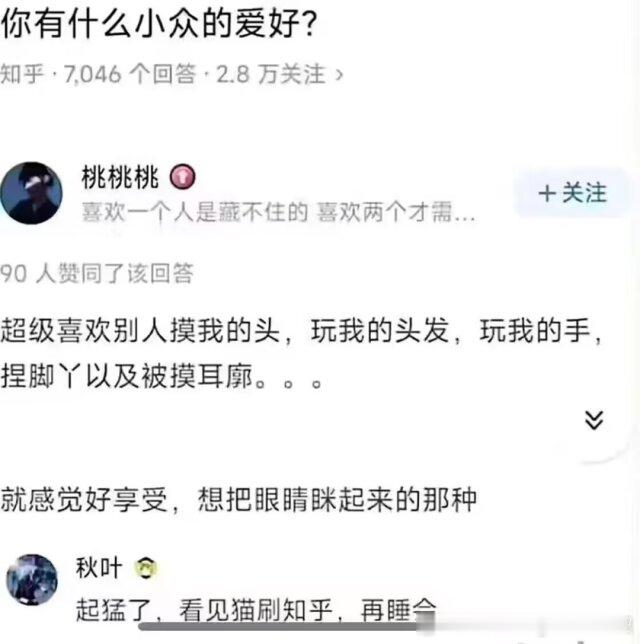 以防你没见过猫刷知乎​​​