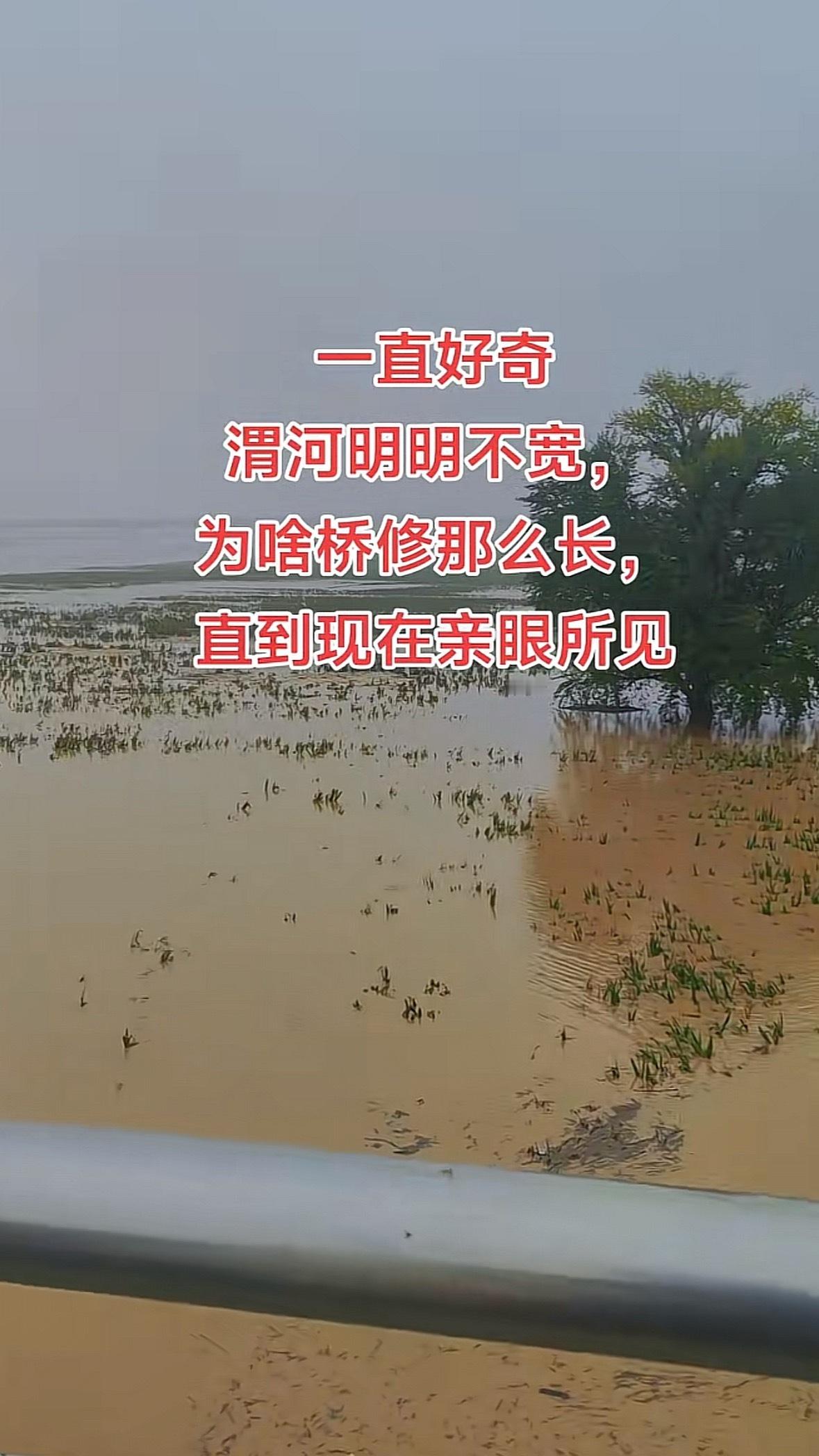姜太公当年没河堤，渭河800里。[doge][doge][doge]​​​