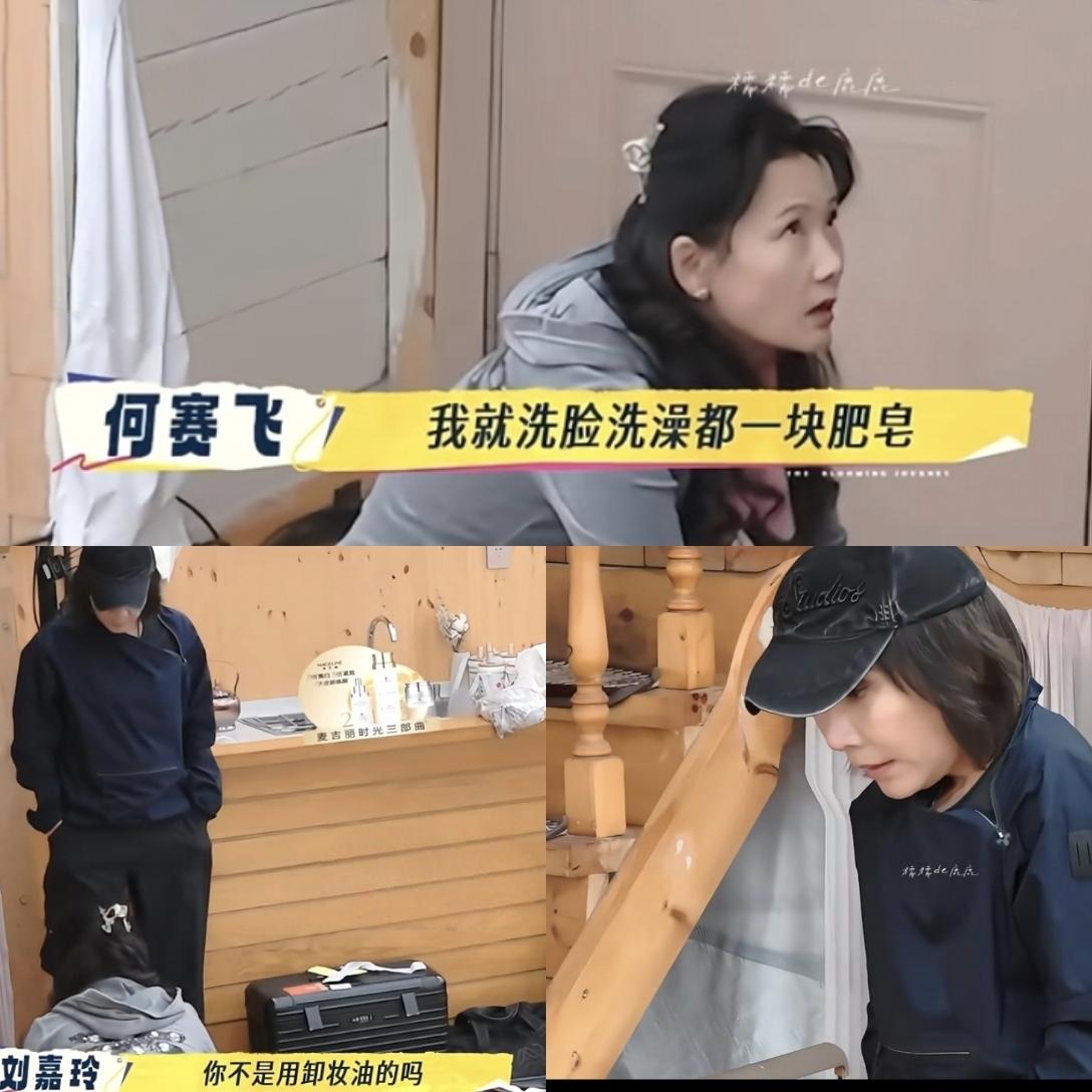 刘嘉玲老尴尬了,她怎么也没想到,自己天天高端护肤品养着,竟然还不胜何赛飞手