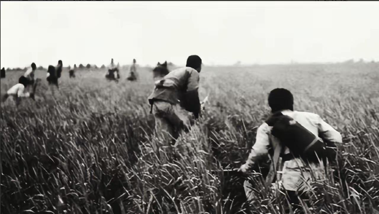 1939年，八路军张智忠，护送黄金途中，遭敌突袭时，带一位战士突围。不料，战士见