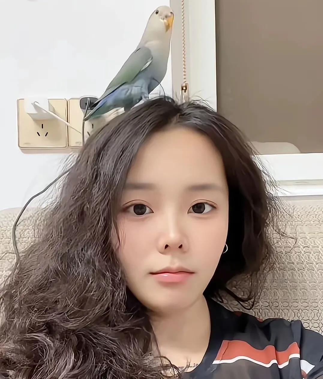 假如小熊手拎着水果，带着楷楷，登门许妈家，您觉得可能吗？这并非不可能。网络上