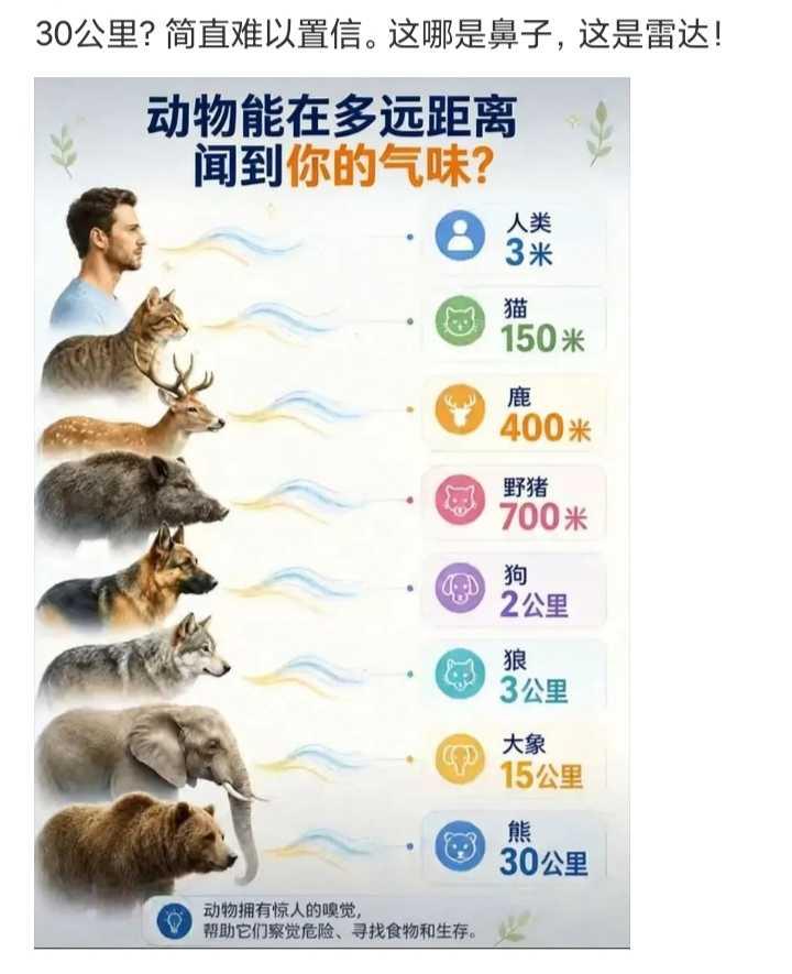 动物能在多远距离，闻到你的气味