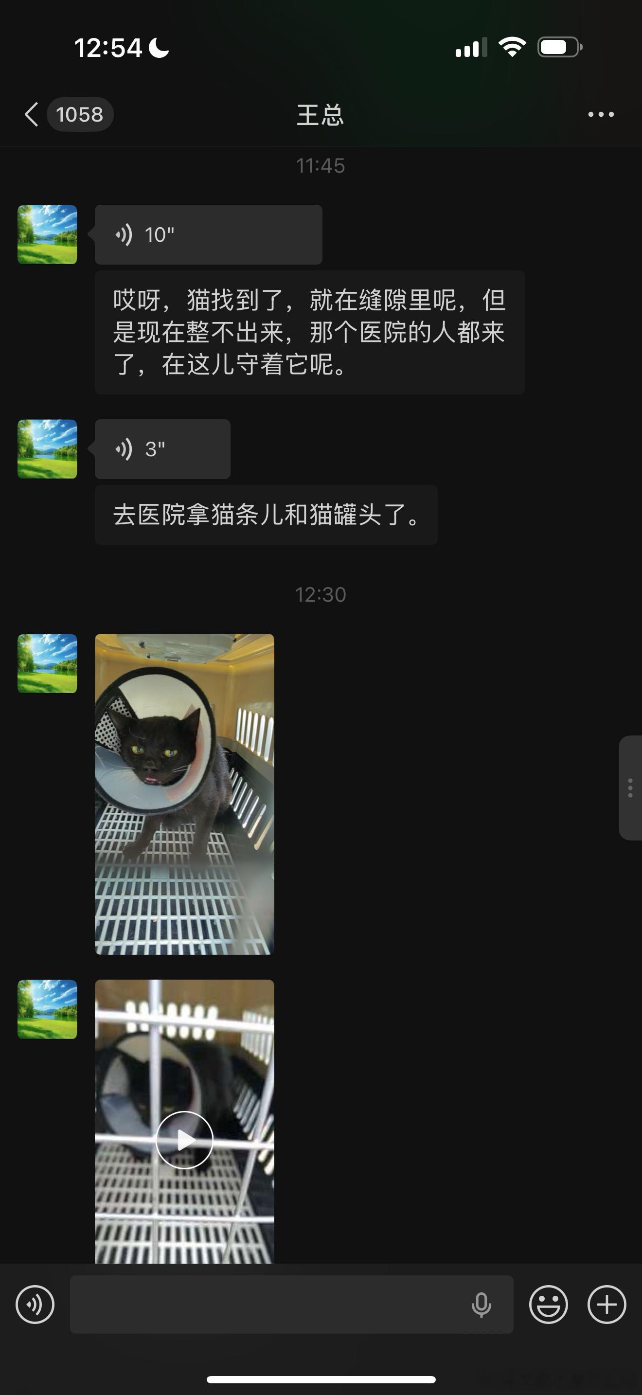 猫找到了！！！我妈满小区放小猫找妈妈的录音还真给碰到了