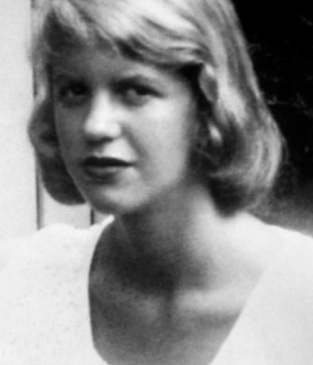 1963年，31岁美国诗人西尔维亚·普拉斯，在一番精心打扮后，将上半身投入了电烤