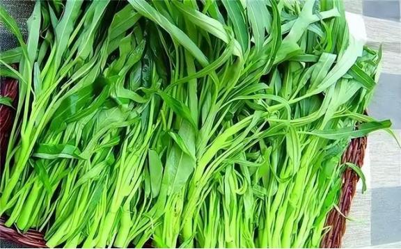 空心菜立大功？研究发现：空心菜对这4类慢性病有效，或可多吃你可能没注意到，菜