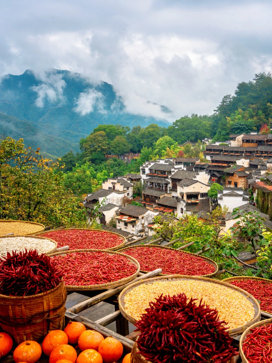 后来我逢人便说，婺源的秋景有多美！