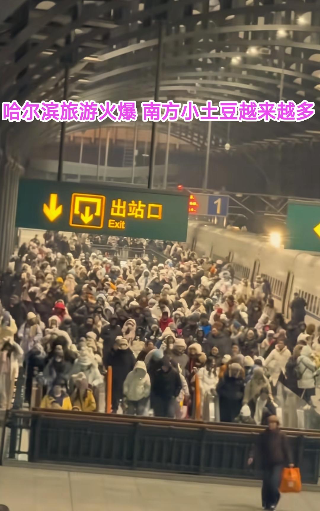 之前有些人说哈尔滨今年冬天的旅游没有往年那么火爆，去哈尔滨看冰雪的南方小土豆比往