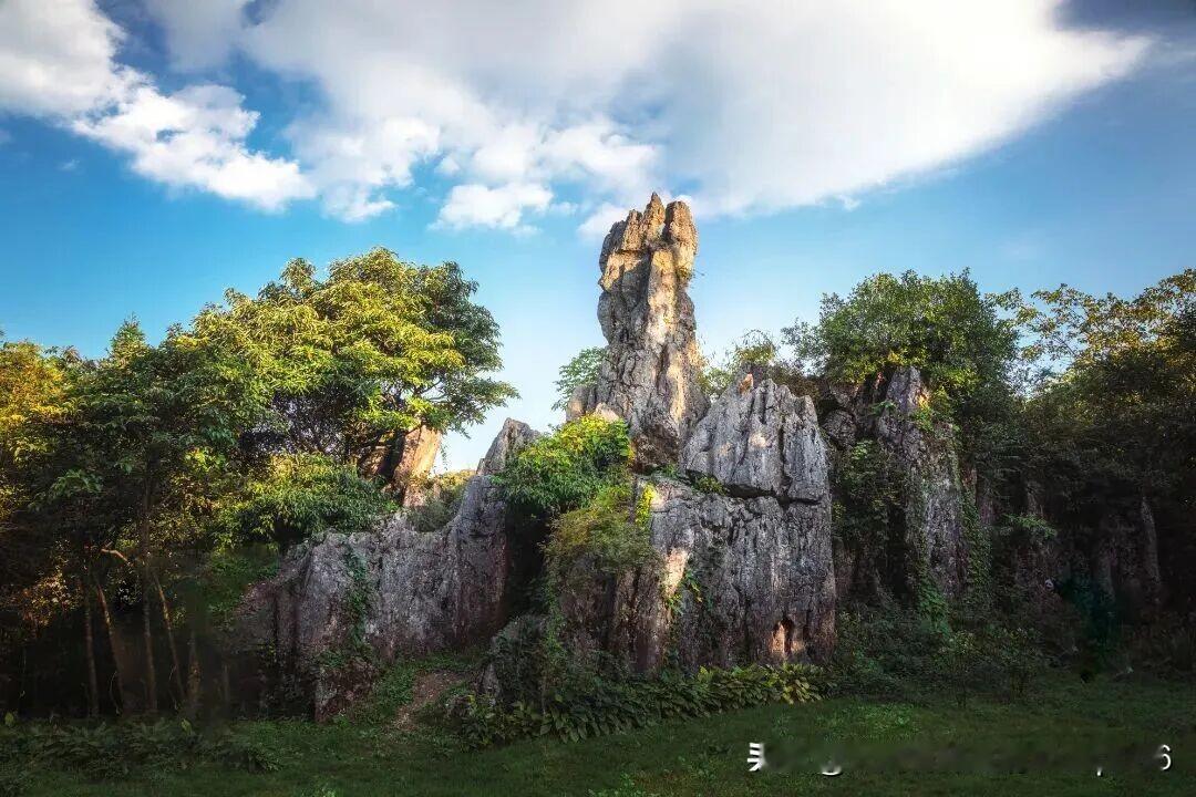 偏爱山水避暑、亲近自然，首选华蓥山。成片奇特石林错落山间，常年云雾缭绕，山上还有