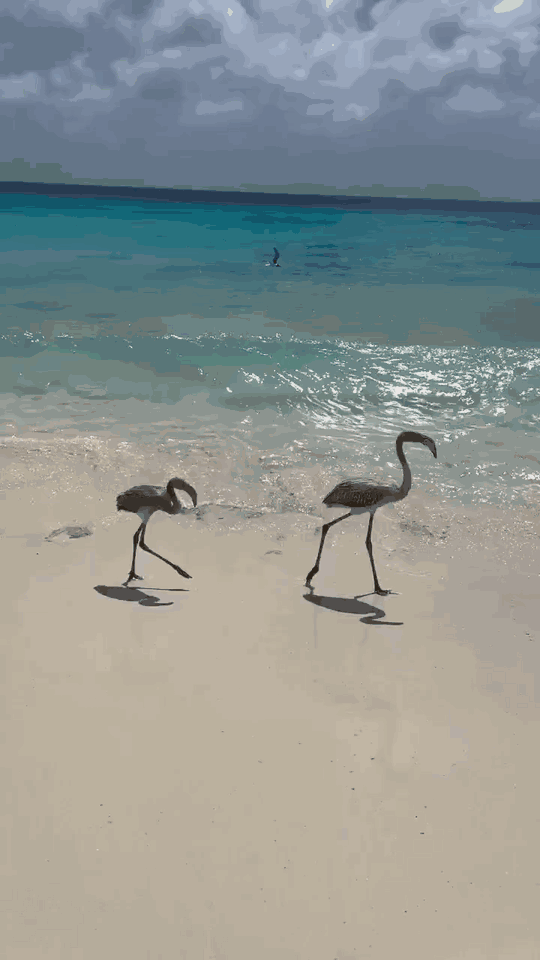 我和朋友就这样被生活轻易击垮