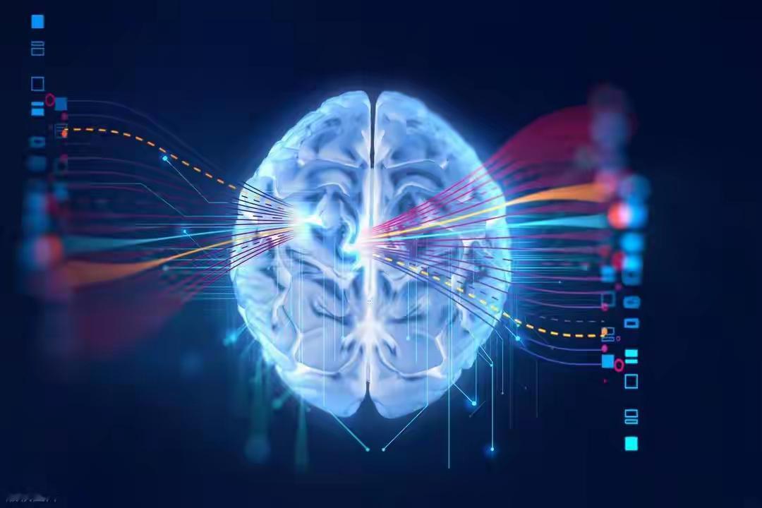 神经科学最新研究打破固有认知，高智商人群的大脑，不靠密集神经网络。而是以“少而精
