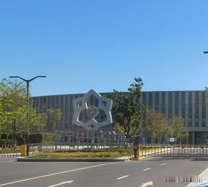 国家重点实验室辽宁材料实验室卢柯院士领衔世界顶尖科学家沈阳在材料领域具有