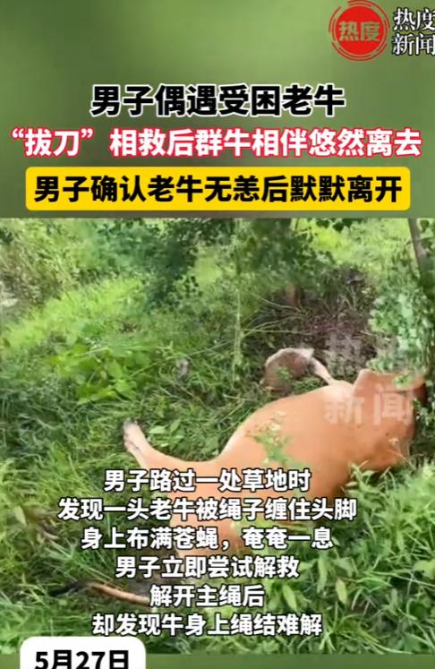 “积大德了！”5月27日，广东阳江，一幕感人的场景发生在山间。那天，一位