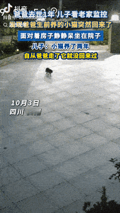 “万物皆有灵！”10月6日四川资阳，一男子翻看老家监控时，无意间发现消失1年的小