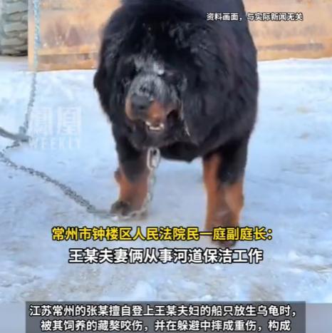 “不作死就不会死！”江苏，一夫妻从事河道保洁工作，长期住在自家船上，为保护家产养