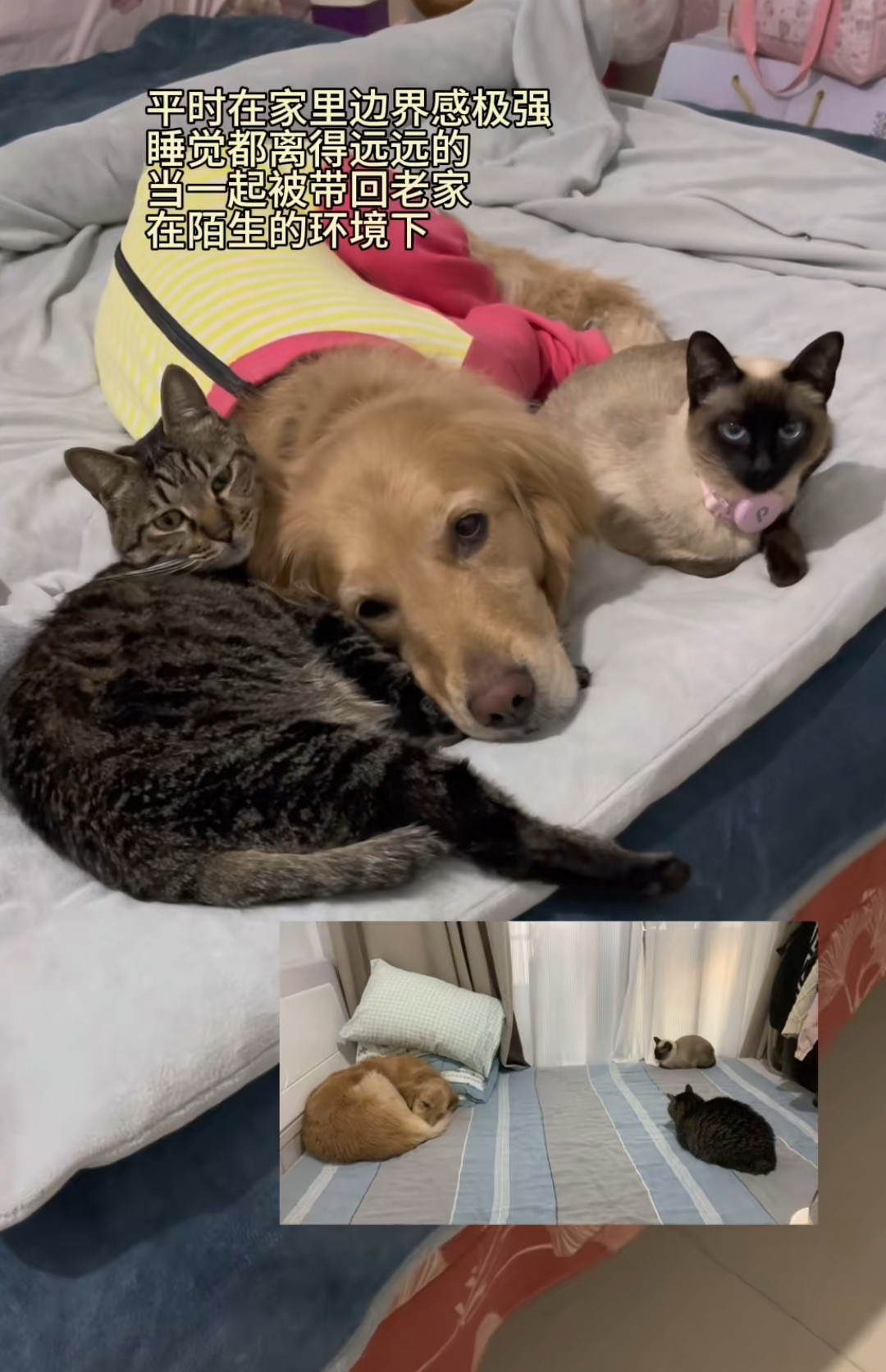 仇人比陌生人熟悉一点