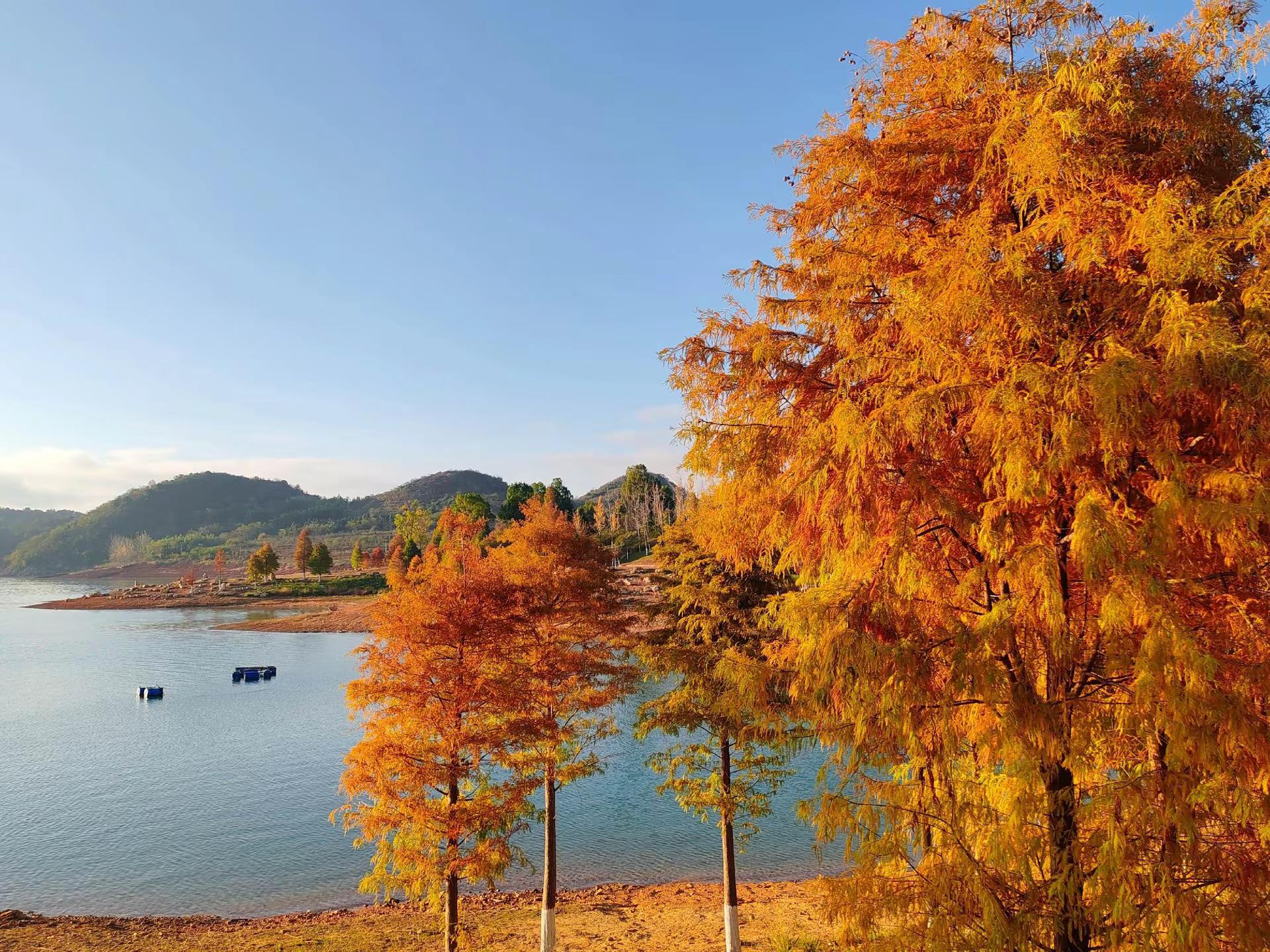 国庆开瑞虎8来到郴州白廊赏秋，环湖自驾，湖山秋景尽收眼底，人少不拥堵旅途畅快。秋日湖边美景自然系美景