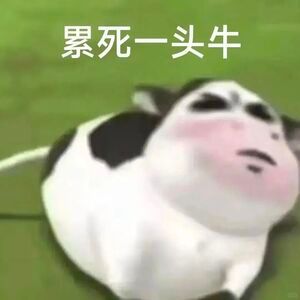 又到了生无可恋的周一……