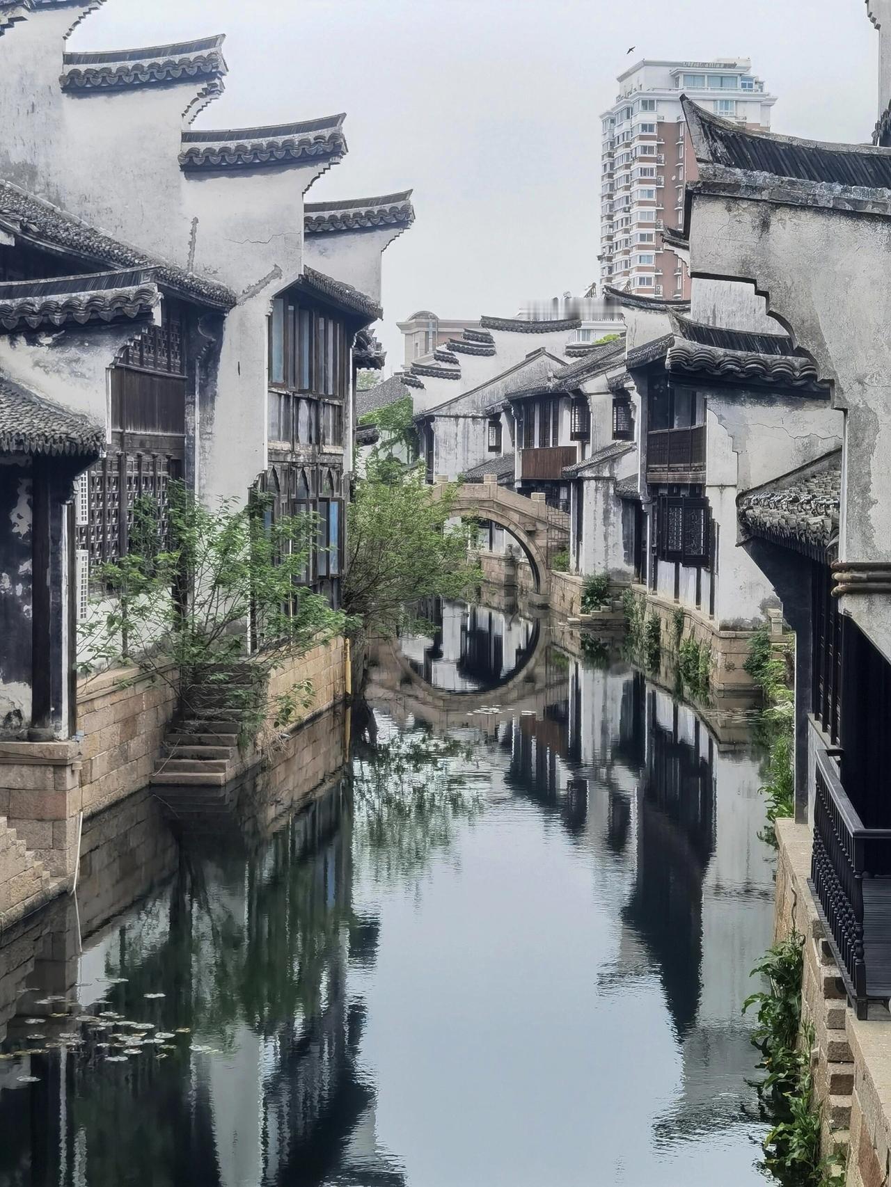 被嘉兴月河古街惊艳到！这才是原汁原味的江南烟火终于懂了，为什么所有人都对江