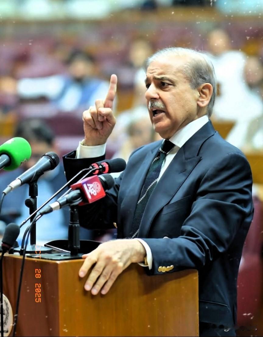 巴基斯坦国防部长赫瓦贾·阿西夫通过全国电视讲话向民众宣告，所有滞留境内的阿富汗人