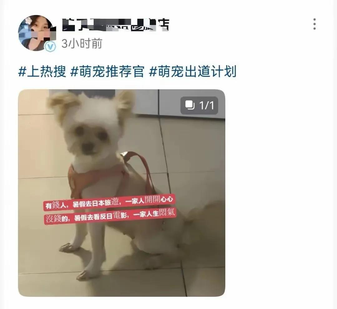 看看，看看，如图，铺天盖地的通稿，熟悉的配方，相同的套路，一样的味道，谁组织的？