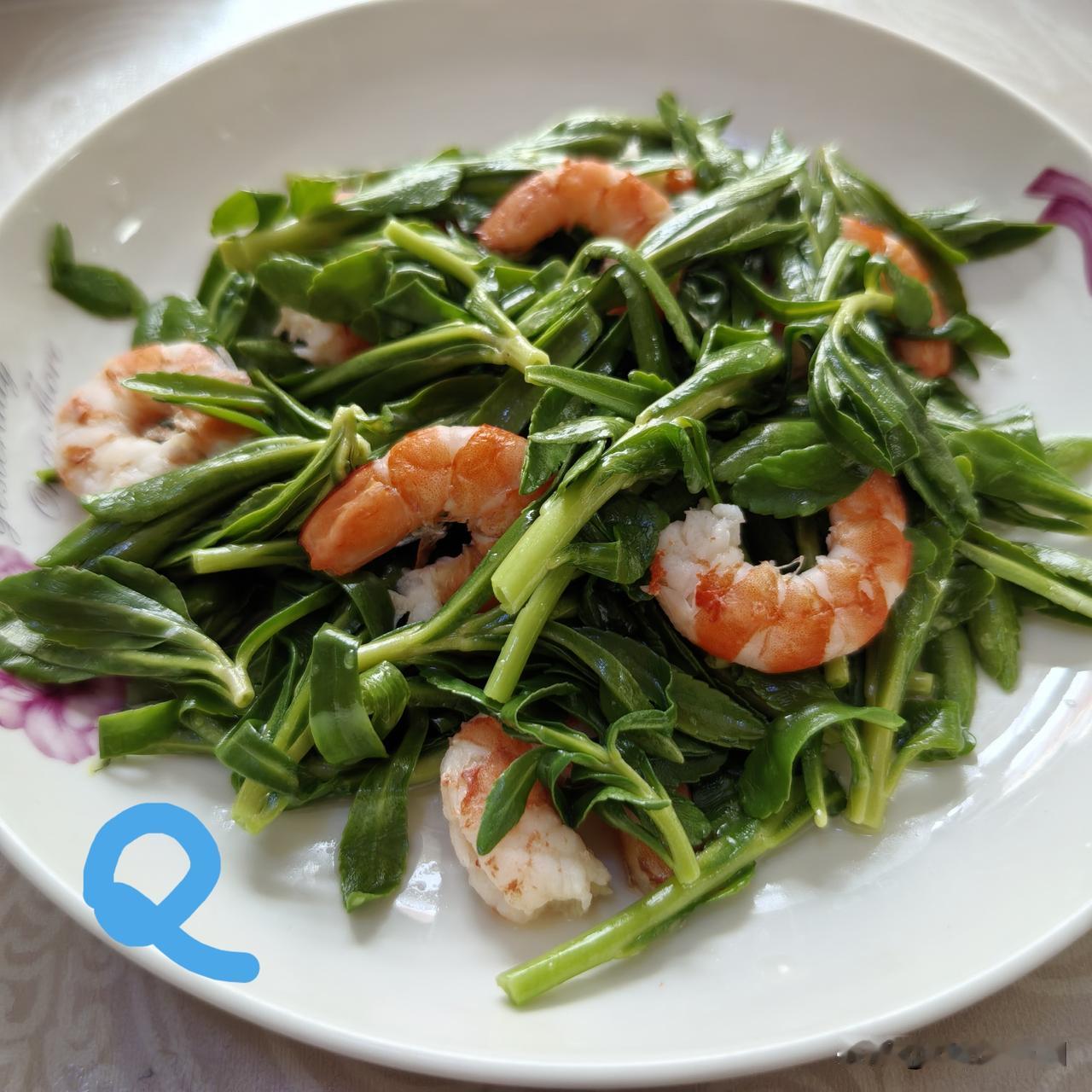 【老乔头种果菜·会种会采会吃】好栽好吃懒汉菜养心补钙主妇爱这是一种栽一茬