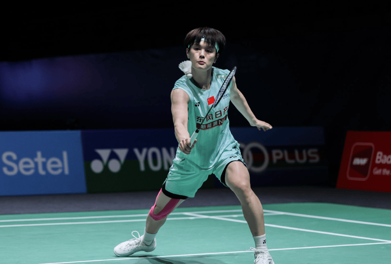 血脉压制! 王祉怡对阵安洗莹已遭遇十连败, 收获9个亚军