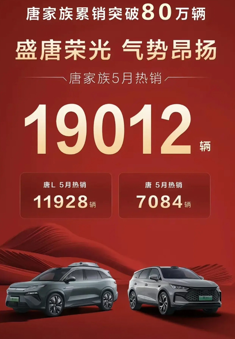 真正有技术是不愁卖的看看唐L的销量就知道了，现在唐系列的销量有一大半是唐L贡