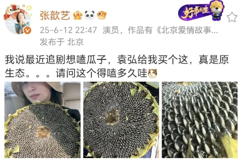 袁弘送张歆艺葵瓜子大圆盘！6月12日，张歆艺晒出了与一大盘葵瓜子的合照，真的是