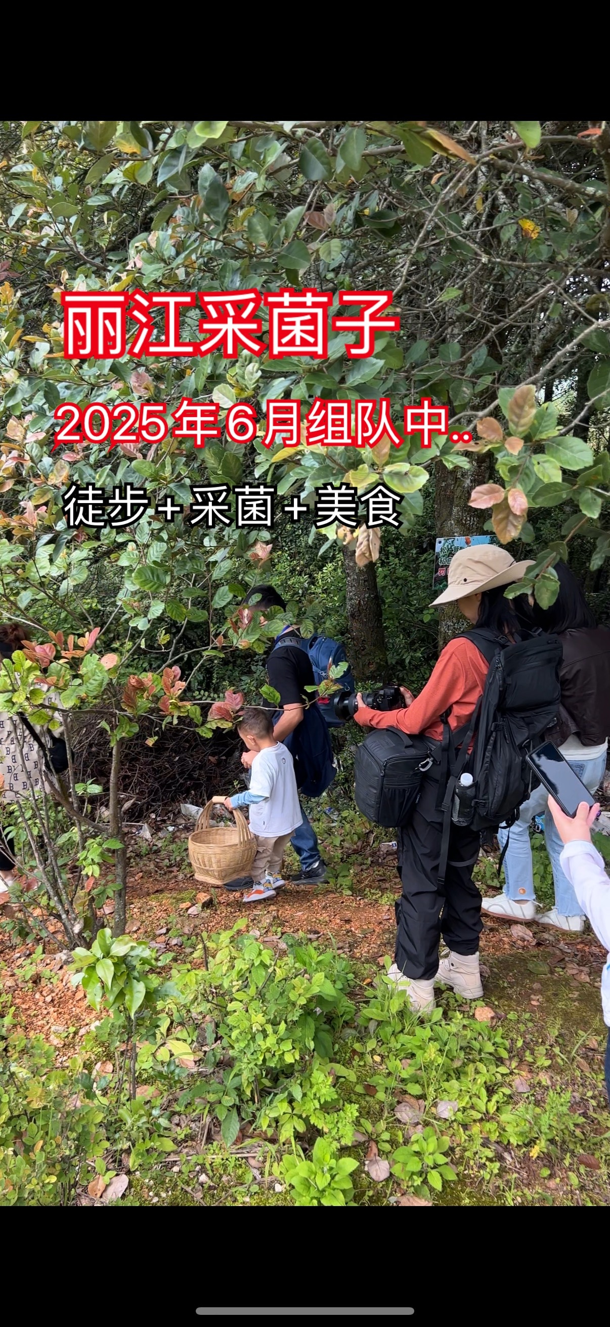 六月🌧️雨季🍄采菌子，进山撒欢治愈自己🥳喧嚣城市里天天被KPI追着跑🏃，