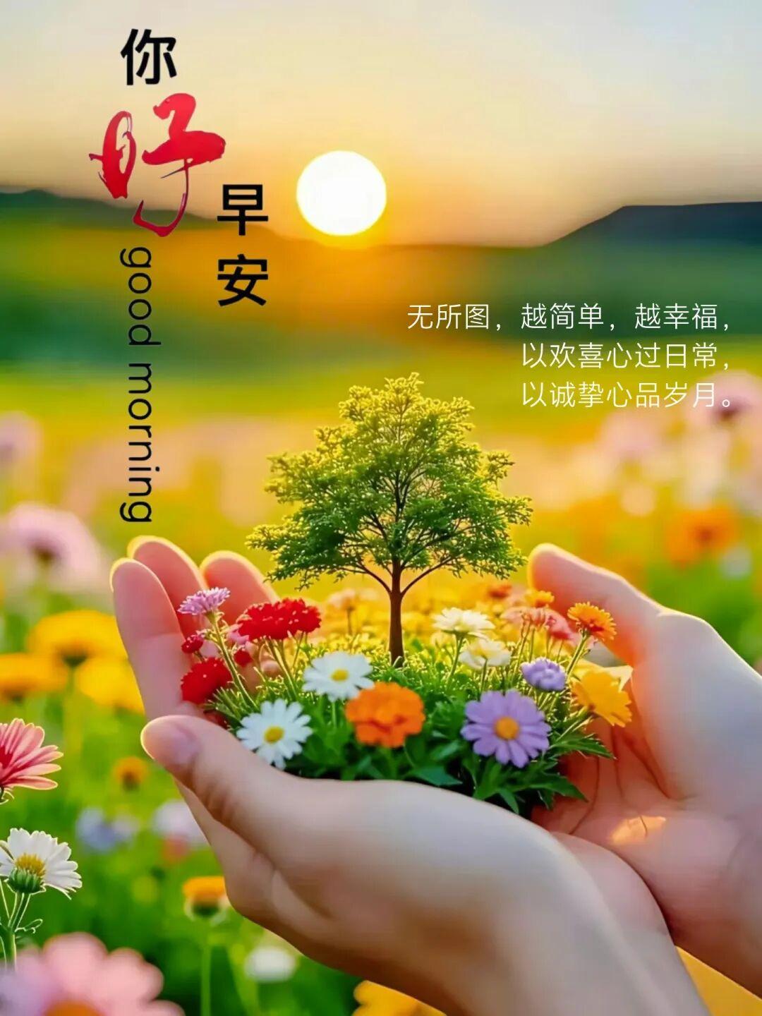 早安，泡一杯热茶静静待一会儿，多留点时间跟自己相处。梳理好烦躁的心情，心态安稳了