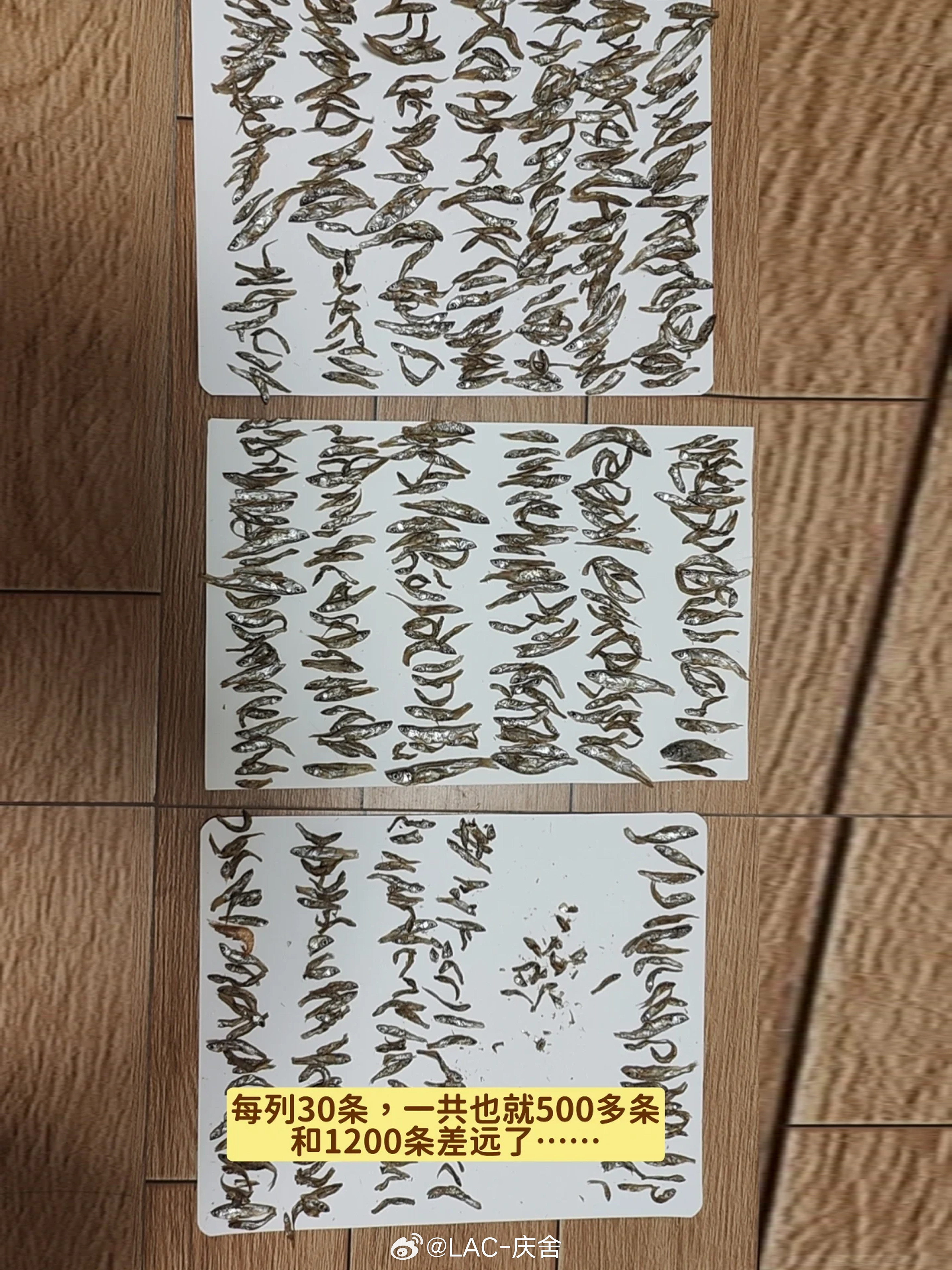客服：不是，你来真的啊？​​​