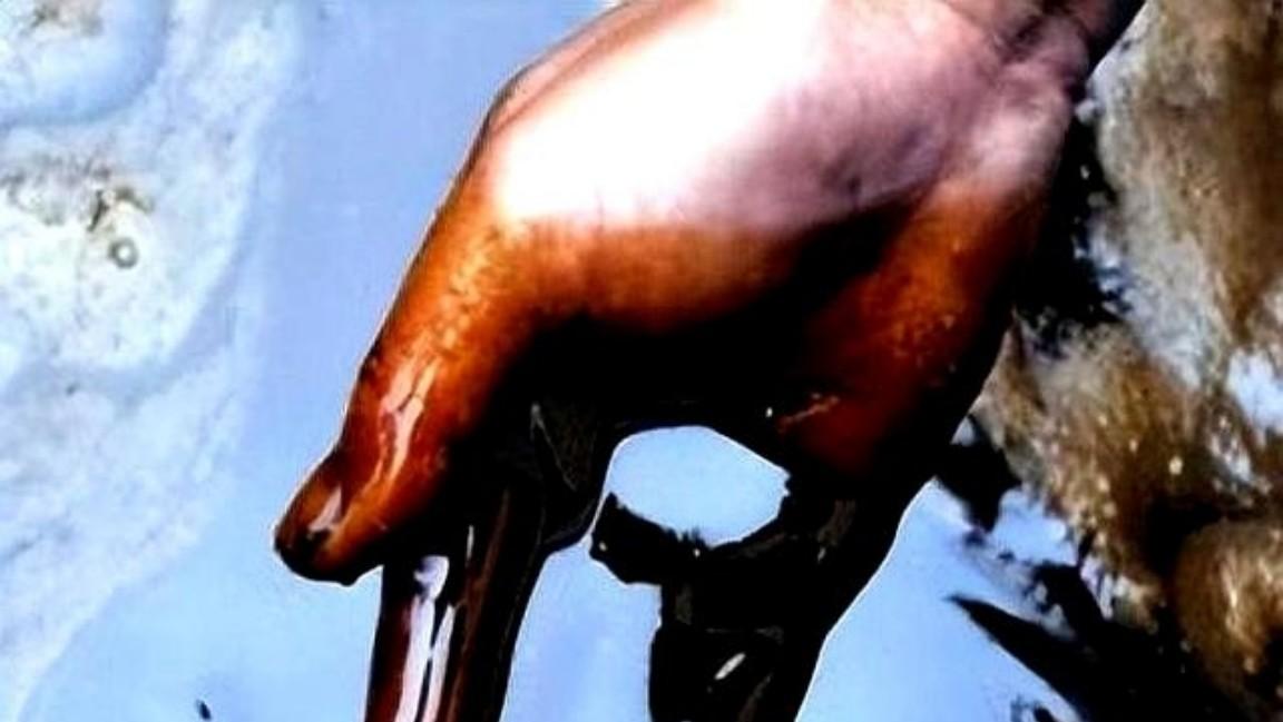 火葬场烧完人后，剩下的东西到底去了哪？传说中的“尸油”真的存在吗？我最近也在