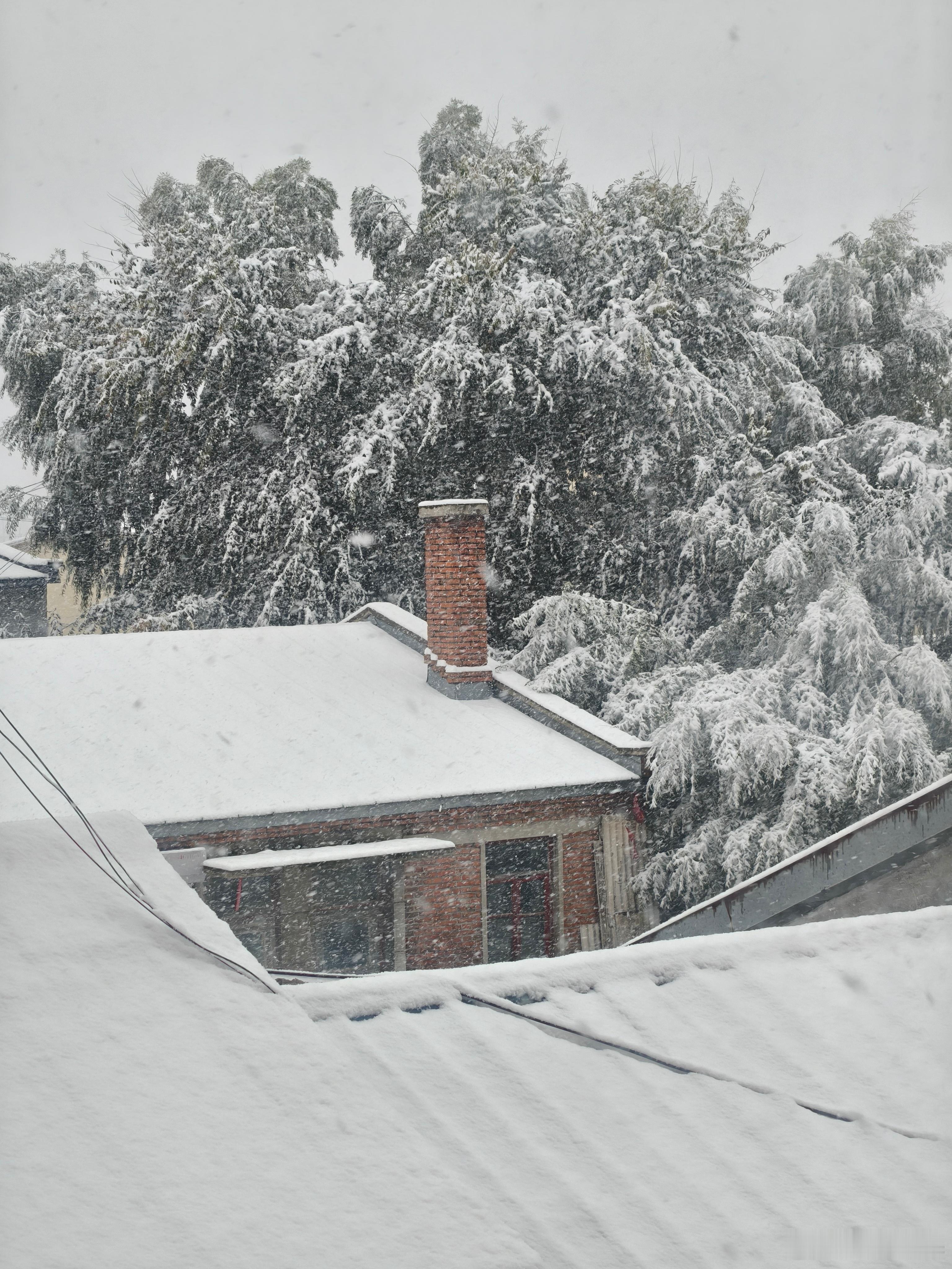 现在是10月15号上午，刚刚哈尔滨周边的朋友给我发了他附近的雪，已经这么大了[吃