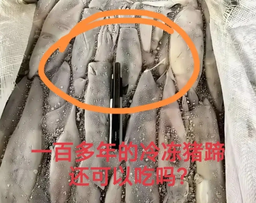 一百多年的冷冻猪蹄还可以吃吗？
