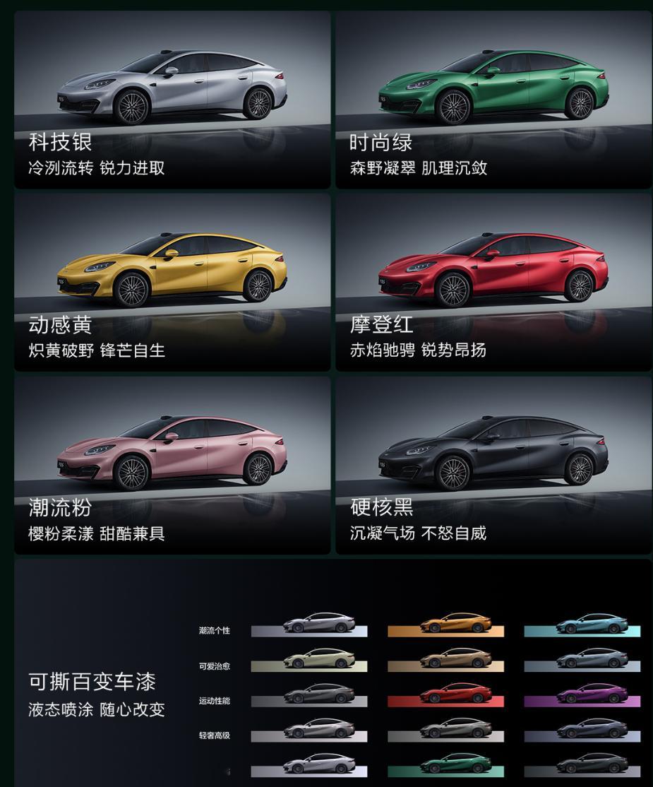 果然，方程豹才是真迪子，方程S&方程SGT，一个轿跑，一个猎装，全能之上更显个性，但两个车型技术核心