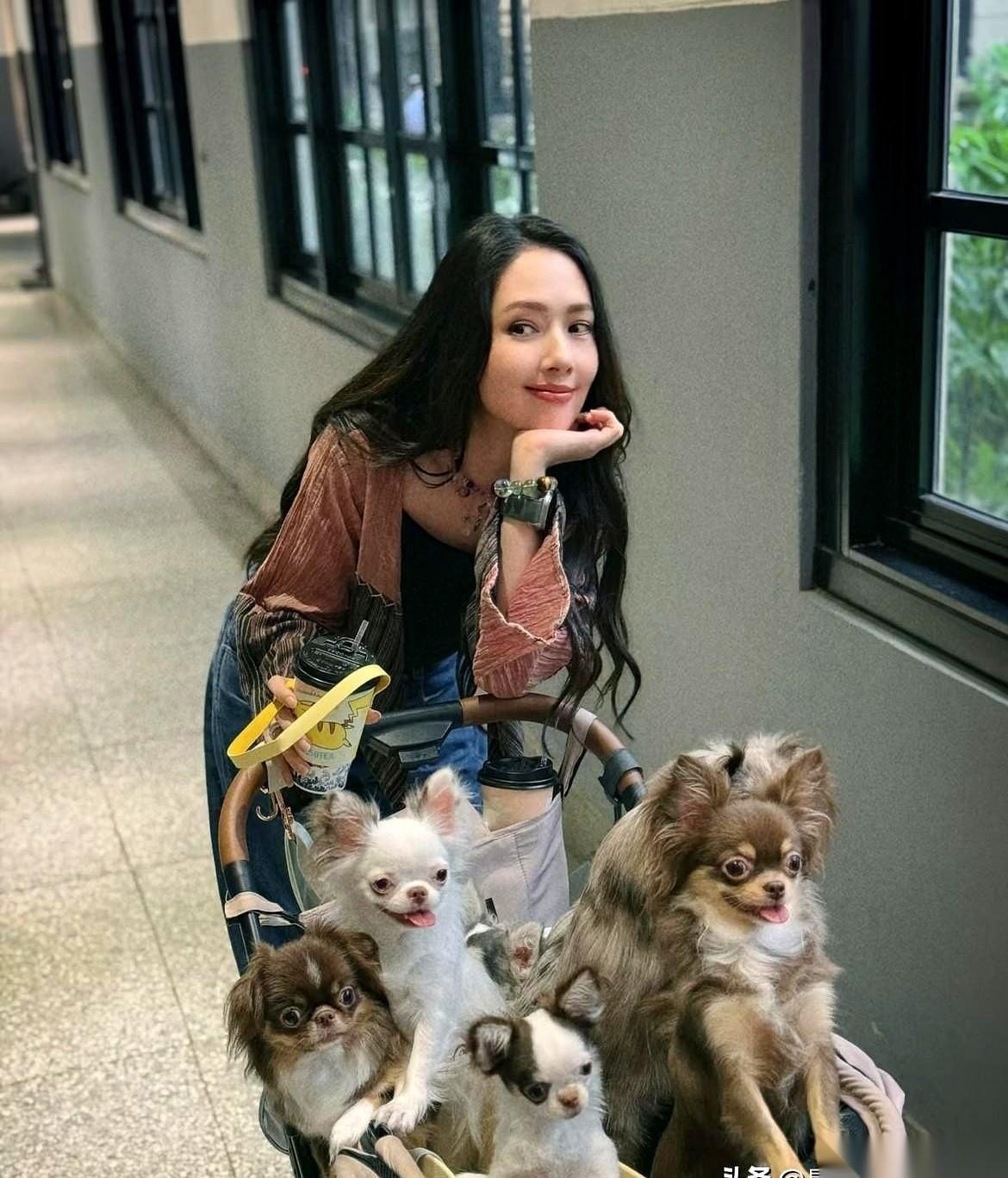 这事儿最邪门的地方,根本不是向太和郭爸又说了啥。而是她老公,向佐,居然跟个没