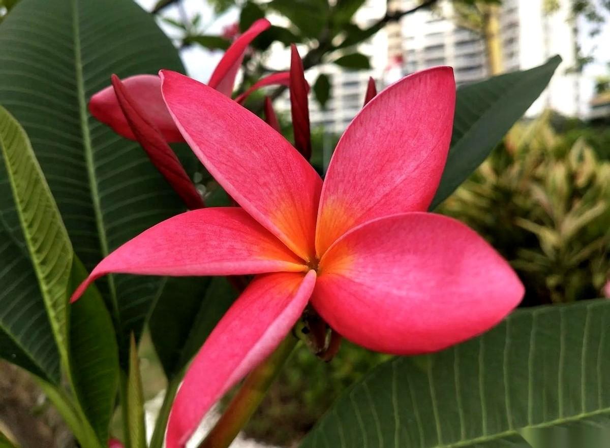 我们镇上麻将馆里，总有那么几个女人。烟圈一吐，眼神里全是故事，摸牌的动作比谁都