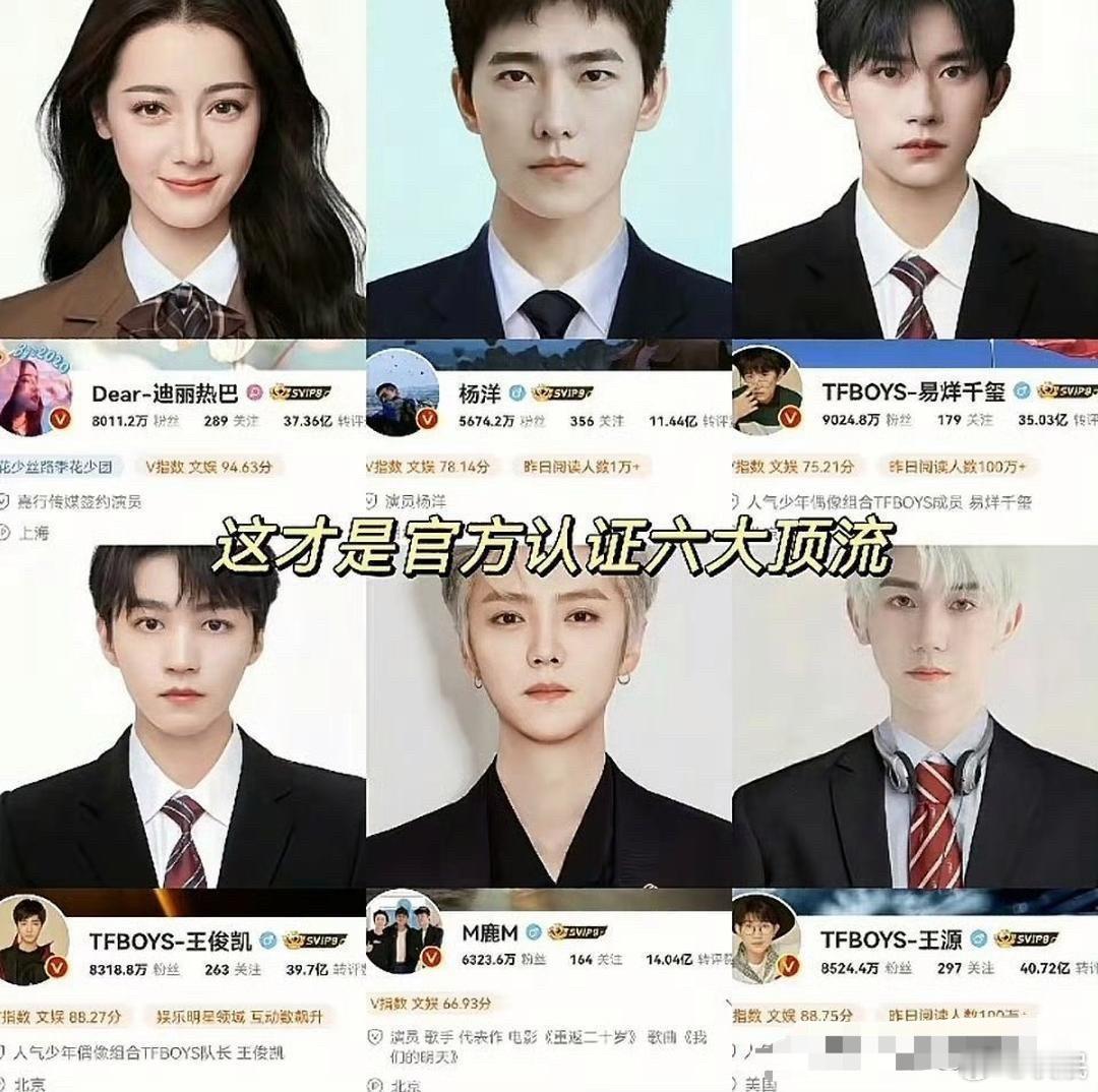 内娱央视认证顶流只有：鹿晗，杨洋，王俊凯，王源、易烊千玺和唯一一位女顶流迪丽热巴