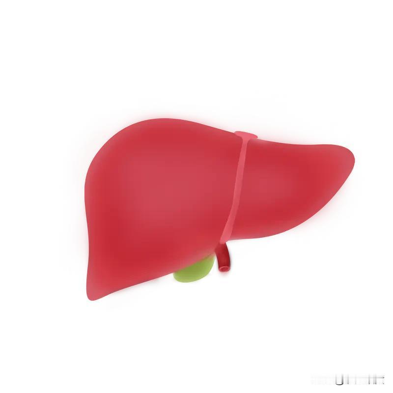 熬夜难以入眠，多半是肝脏气血不畅所致。许多人明明困意十足，躺到床上却辗转反侧，