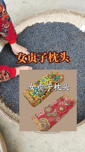 冬至采收的女贞子得时令闭藏之精气，质地饱满、滋补肾精之力佳，炮制后做枕头契合“敛