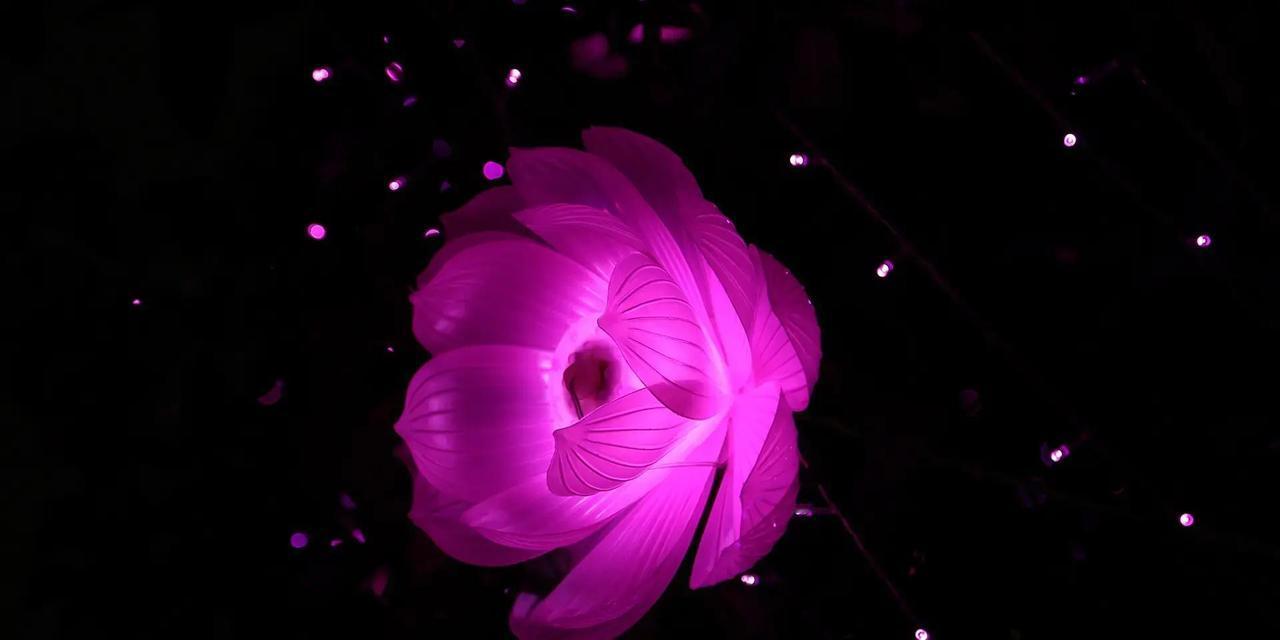 话说这“戌狗”运势来了，求职的朋友们有好消息等着，心里肯定乐开了花。小两口这段时