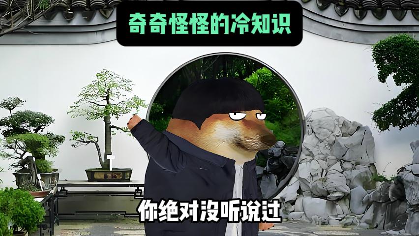 奇奇怪怪的冷知识。