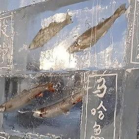 最近黑龙江同江市三江口生态旅游区有处景观火了——一堵3米高的冰墙里，封着20多种